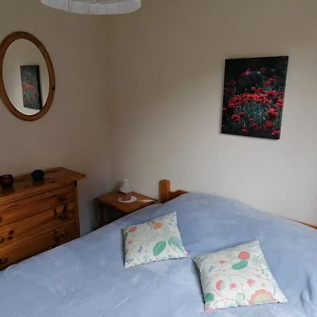 Apartment F2 Meuble - 32m2 - Proche D'evian-les-bains Neuvecelle